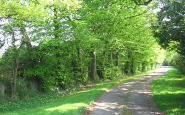Ballinclea House Bed and Breakfast