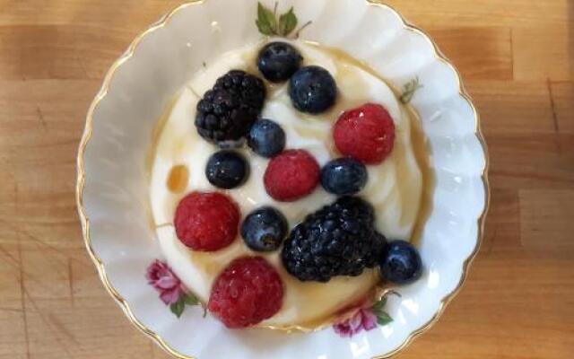 Willow House Inn B&B