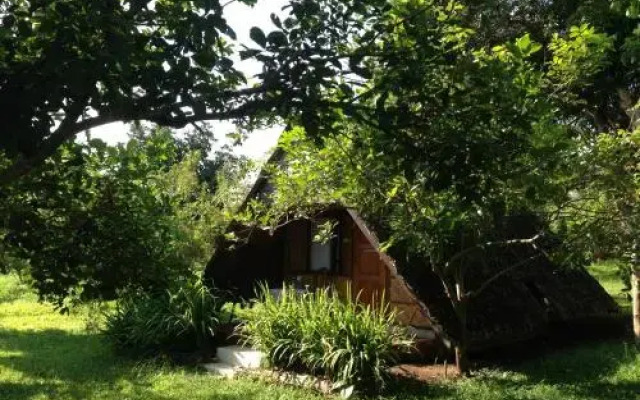 Yang Tone Farm Stay