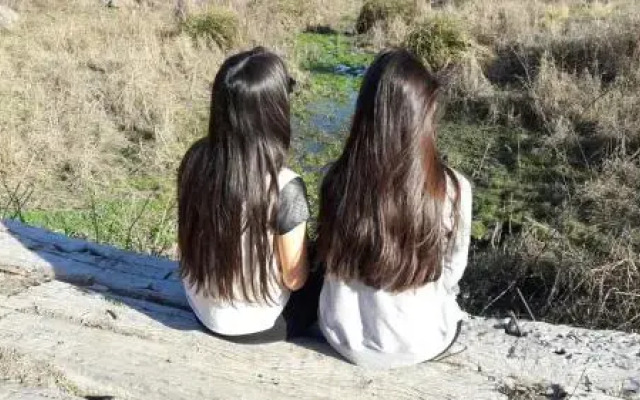 Los Frutales