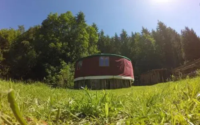 Yourte Contemporaine