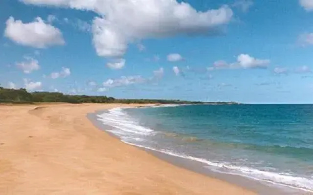 Molokai Shores 223