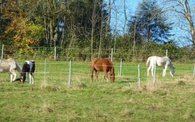 Ferienwohnung Inge Konig