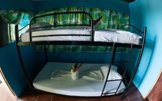 Corcovado Jungle Hostel