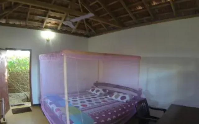 Safasurf Camp - Hostel