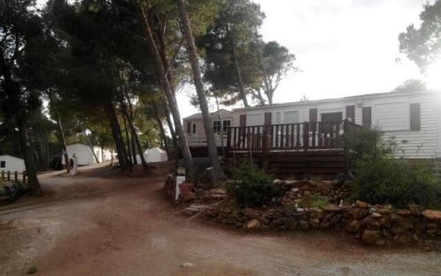 Camping Le Bois De Pins