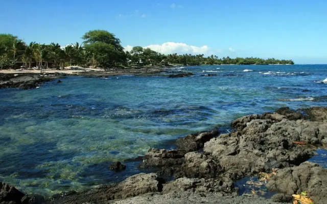Hale Ulu wehi by RedAwning