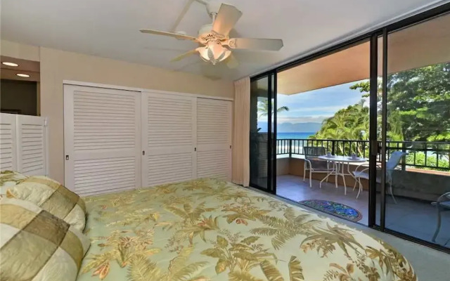 Paki Maui 224 by RedAwning