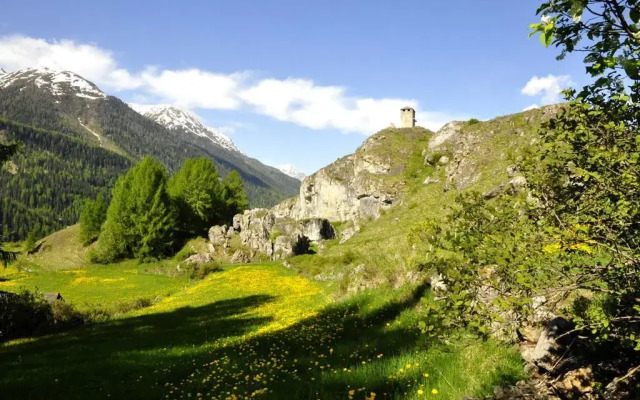 Aurora-Ardez