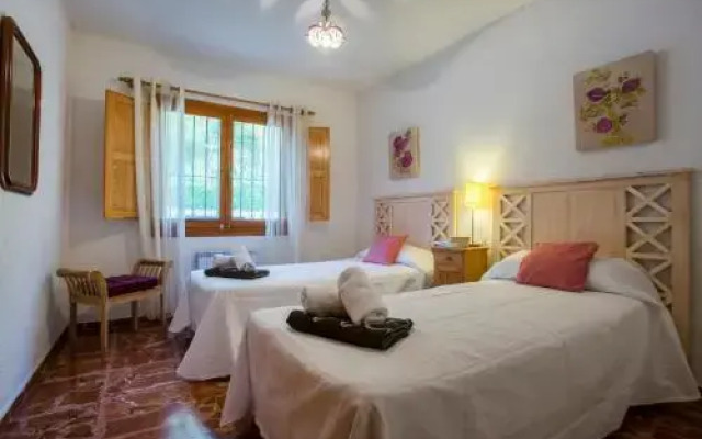 Amapola 8