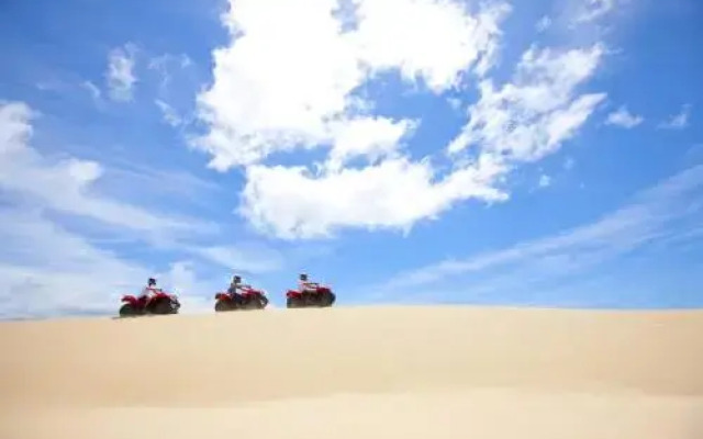 Sails on the Beachfront