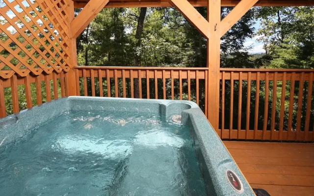 Dare To Bear 238 - Two Bedroom Cabin