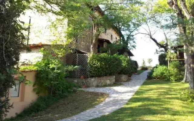 Agriturismo Patrizia Falciani