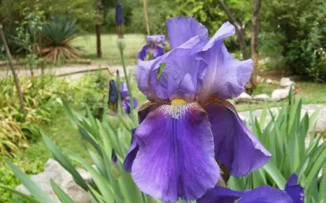 Hostería Rural Monte Bérico
