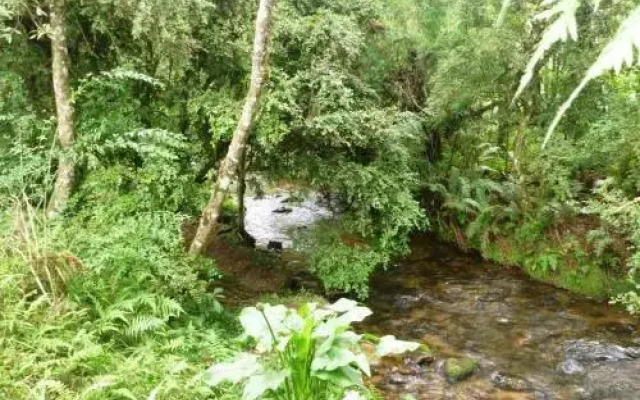 Pousada Passaredo