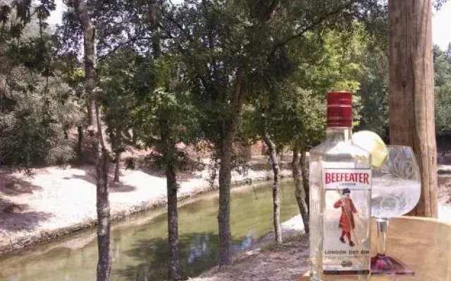 Chalé Quinta da Bouça Fruta Bio