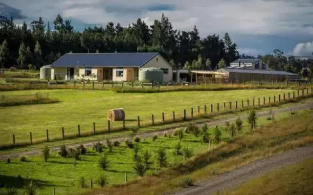 AislingQuoy