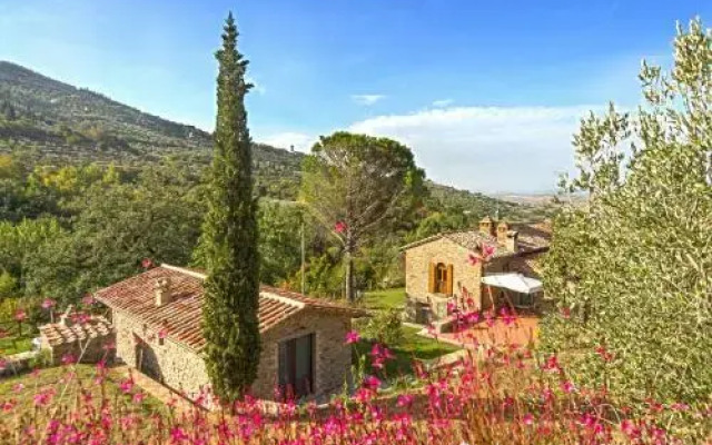 Antica Quercia Verde