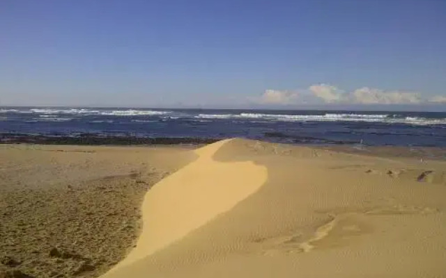 Beached House on Golden Sanddunes