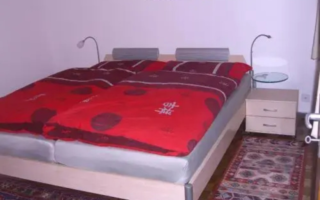 Ferienwohnung Tschudiboden