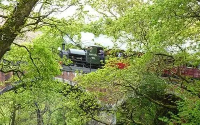 Dolgoch Falls