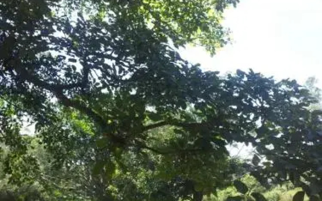 Centro de Recreo