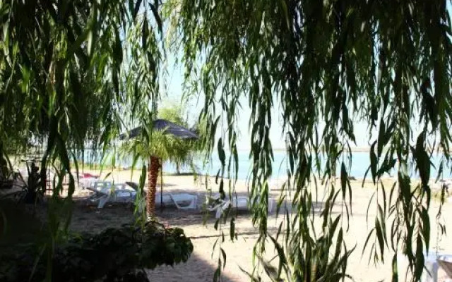 Vila Raluca