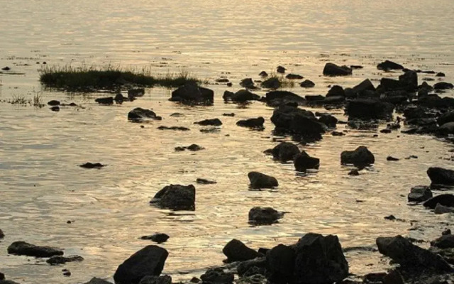 Bij de Weel, Tholen Zeeland