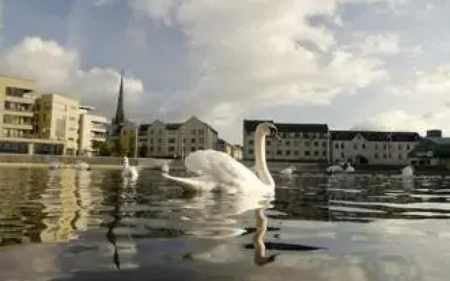 Green Lane House B&B