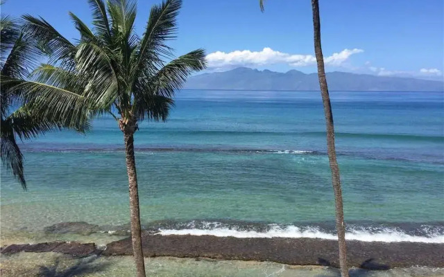 Paki Maui 421 by RedAwning