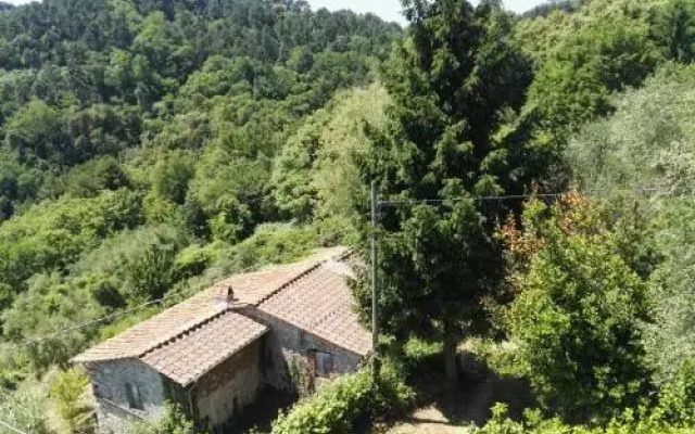 Casa Iris