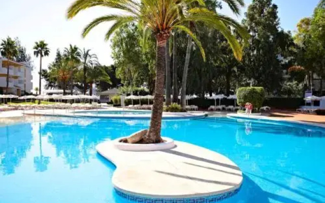 Apartment Oiza Classic