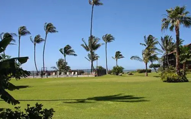 Molokai Shores 121