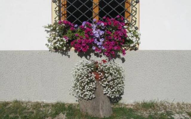 Appartamenti Bernard Fortunato