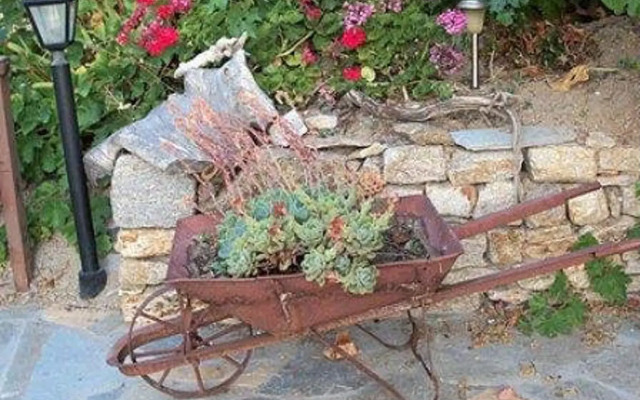Niriides Studios