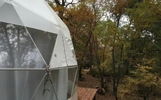 Domos Treepod
