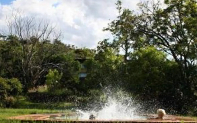 Bateleur Nature Reserve and Self Catering Game Lodge