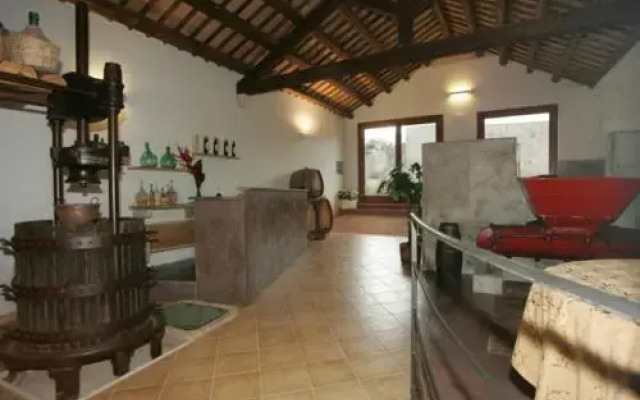 Azienda Agrituristica Tenuta Pizzolungo