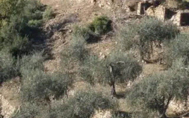 B&B Da Giua'