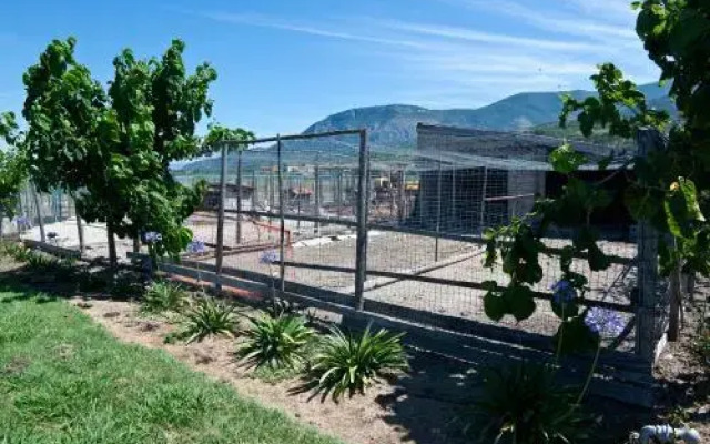 B&B Terre di Paestum