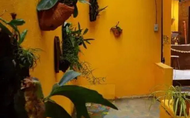 Pousada Arara Azul