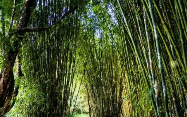 Encantos do Vale Pousada e SPA Cultural