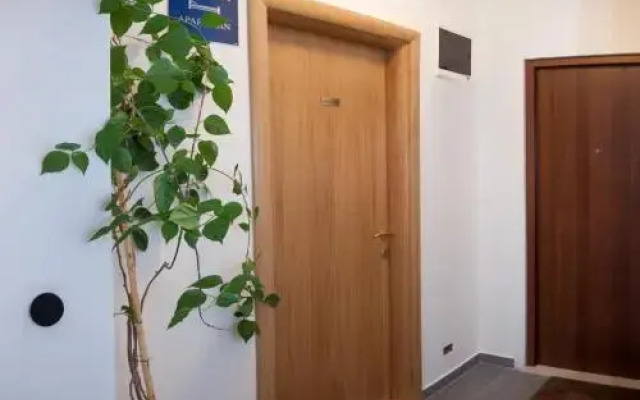 Stunning View Apartment