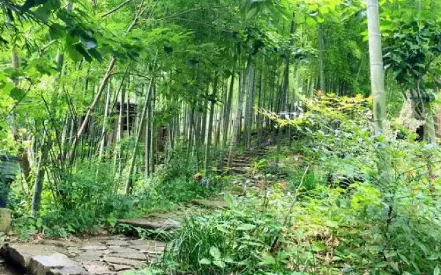Moganshan Howoo Life Hostel