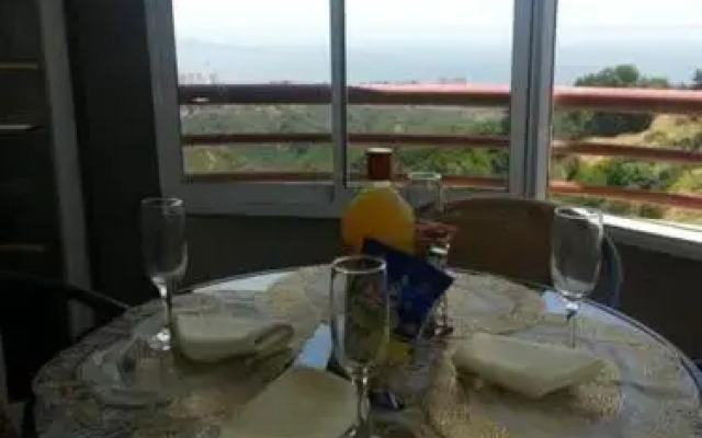 Apart Hotel Viña