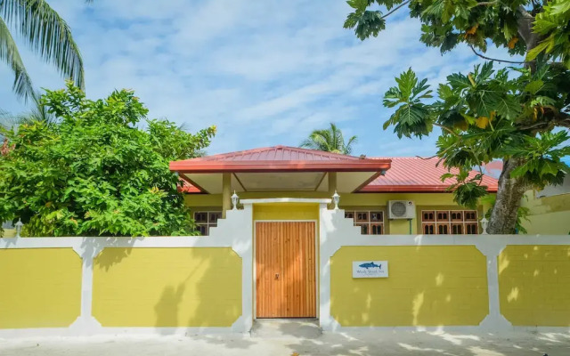 Maldives Guests House Whale Shark Inn