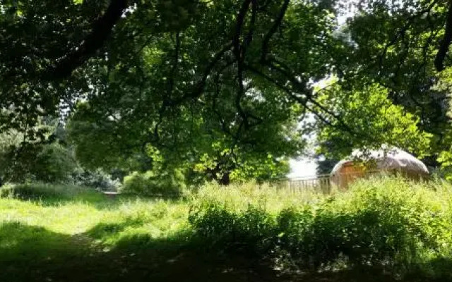 Rock Farm Slane - Glamping