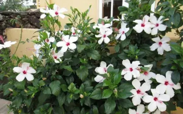 Pousada As Relíquias de Minas