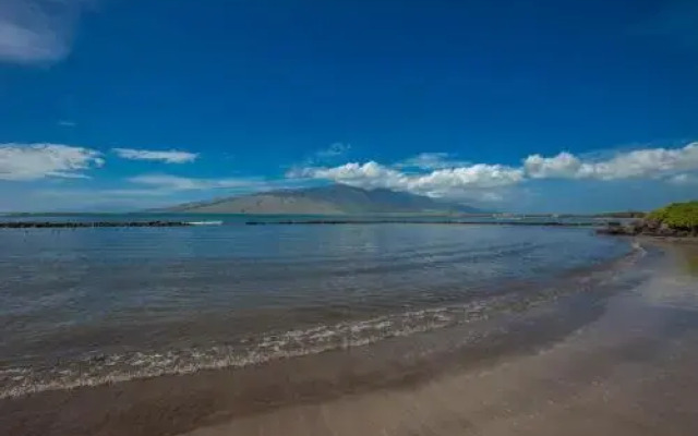 Kihei Bay Surf #109 - Studio Br Condo
