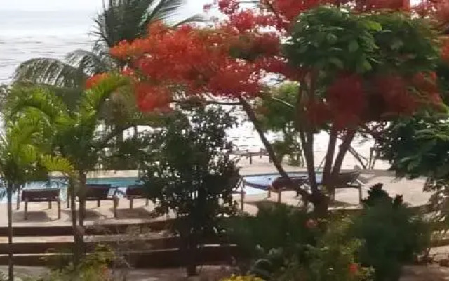 The Coco Paradise